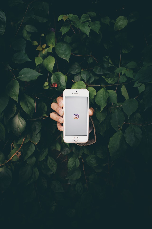 Real Instagram Followers: Jak zdobyć więcej, zdjęcie nr 3